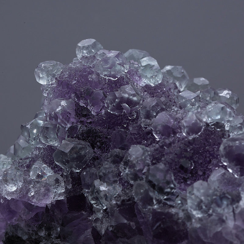 パープルICYフローライト_2198B