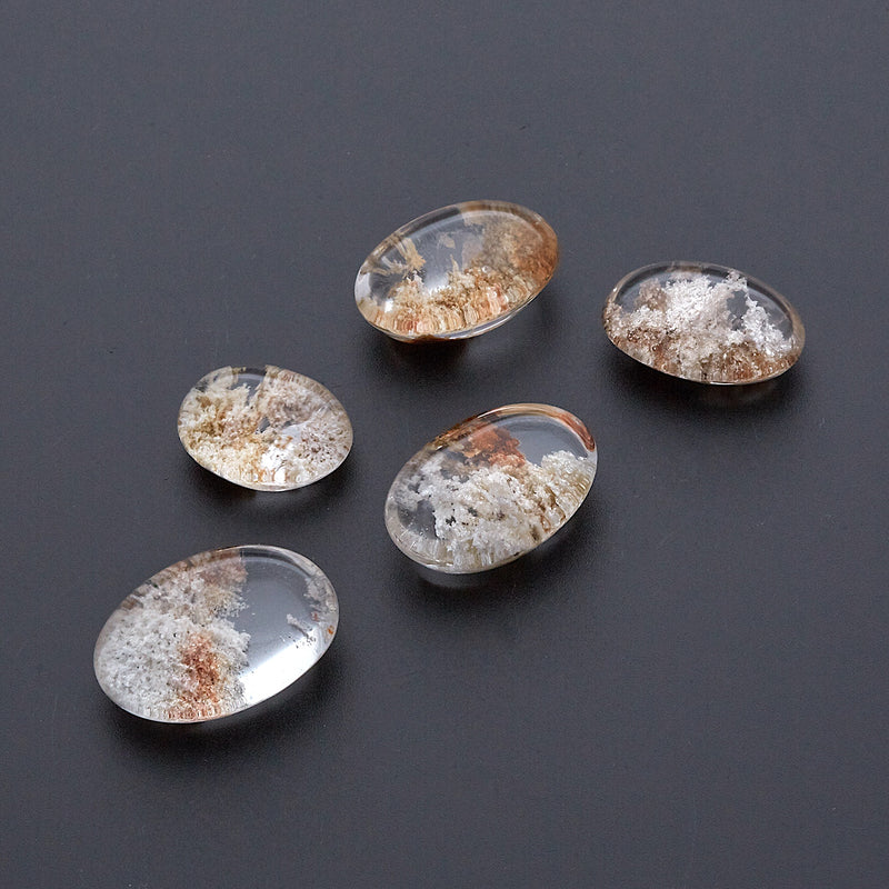 ガーデンクオーツ_2120