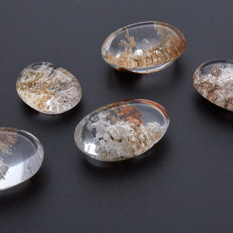 ガーデンクオーツ_2120