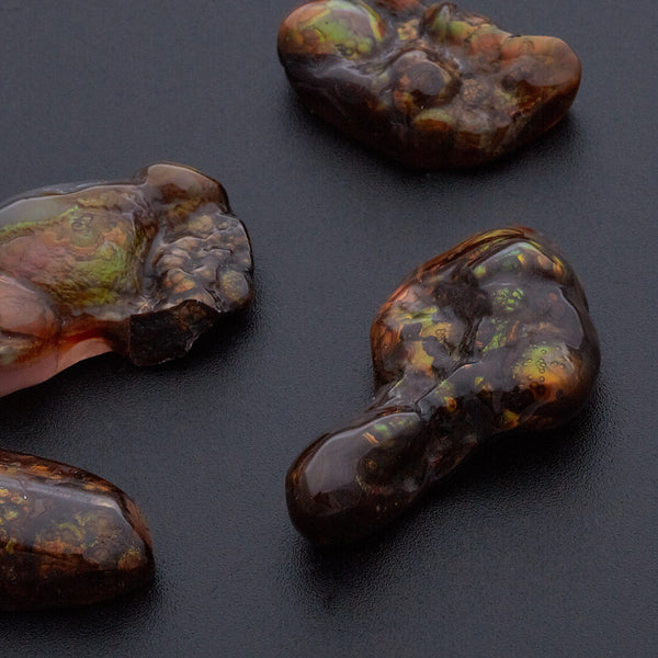 ファイヤーアゲート_2124