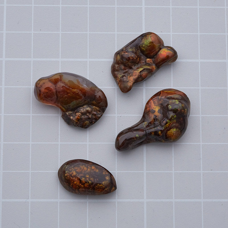 ファイヤーアゲート_2124