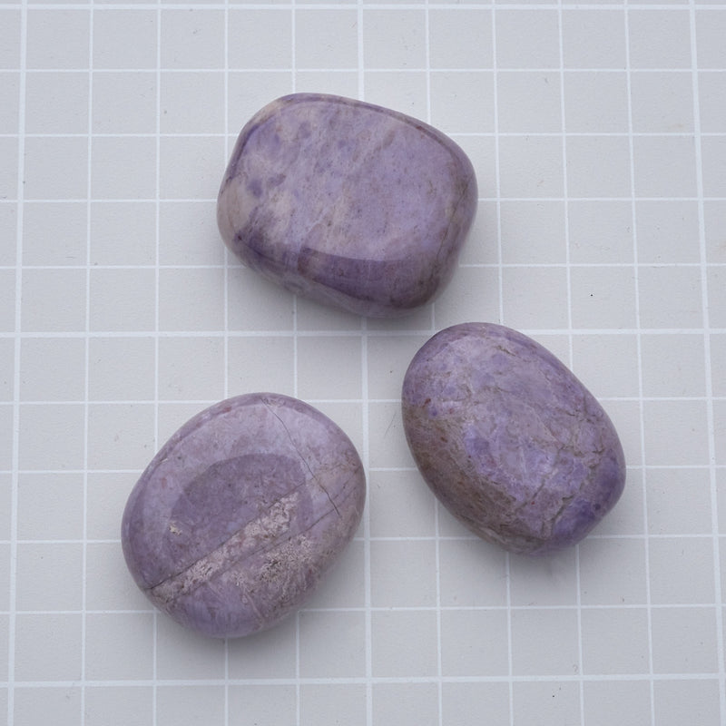 ラベンダーひすい_2126