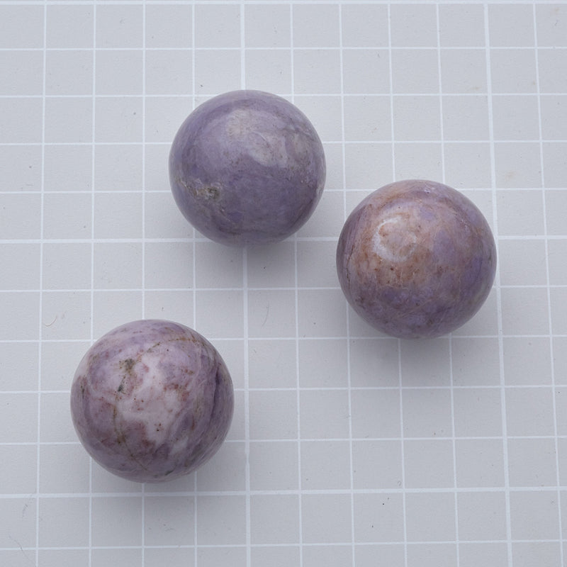 ラベンダーひすい_2127