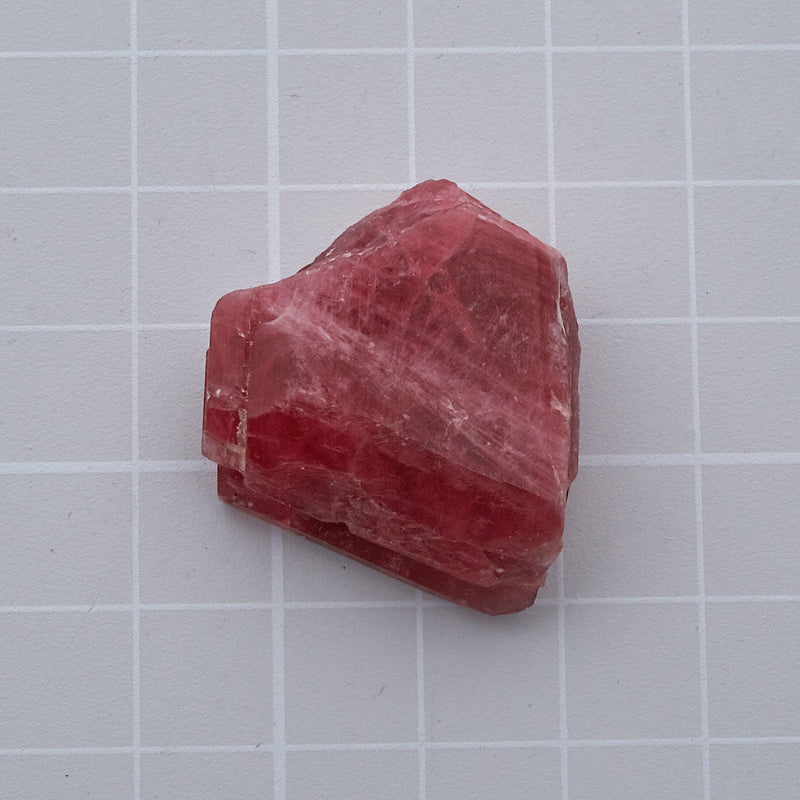 ロードナイト_2131